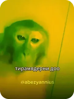 😈 тирамядeрни доо telegram sticker