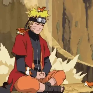 🍜 Naruto Naruto, Anime, Manga, Nhân vật, Thiền, Ngồi, Chim whatsapp sticker