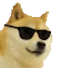 🐶