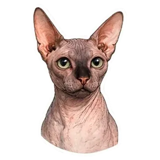 🥹 telegram sticker
