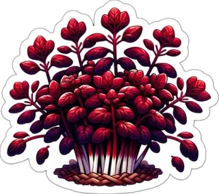 🌱 pianta, pianta rossa, vegetazione, foglie, natura, botanico whatsapp sticker