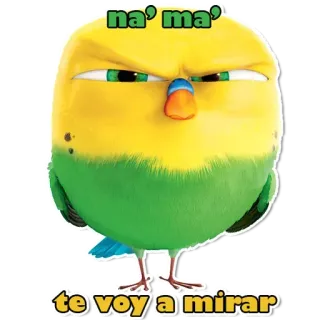 😑 na' ma'
te voy a mirar oiseau, autocollant, dessin animé, perroquet, en colère, jurons whatsapp sticker