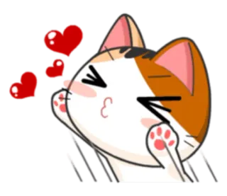 😘 고양이, 하트, 사랑, 귀여운, 동물, 스티커, 애정 telegram sticker