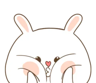 🐽 królik, zajączek, słodki, naklejka, zwierzę, kreskówka telegram sticker