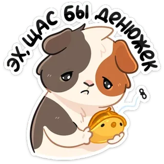 👛 эхщас бы денюжек モルモット, お金, 悲しい, 可愛い, 動物 telegram sticker