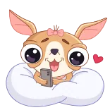 ❤️ Hund, Chihuahua, süß, Welpe, Cartoon, Tier, Haustier, fröhlich whatsapp sticker