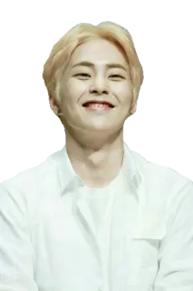 😁 man, smiling, blonde hair, white shirt, portrait, person telegram sticker