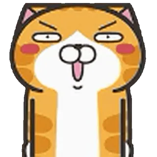 🐱