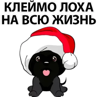 🥴 КЛЕЙМО ЛОХА
НА ВСЮ ЖИЗНЬ dog, christmas, hat, cute, sticker telegram sticker