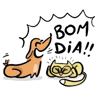 😆 BOM DIA!! cão, gato, bom dia, animais, saudação whatsapp sticker