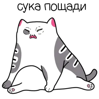 😖 сука пощади Katze, Russisch, Beleidigend, Schimpfwort, Sticker, Tier telegram sticker