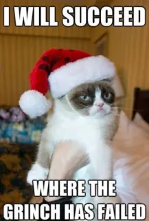 Grumpy Cat Edition 2🐾
@EdwinLove whatsapp stickers