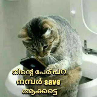 😂 നിന്റെ പേര് പറ നമ്പർ save ആകട്ടെ kat, telefoon, toilet, dier, meme telegram sticker