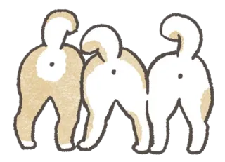 🌚 cão, animal de estimação, filhote, animal, fofo, rabo whatsapp sticker