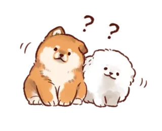 ❔ cane, cucciolo, carino, animali, shiba inu, pomerania, domanda, pensare whatsapp sticker