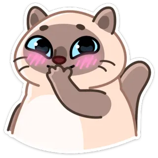 ☺️ кот, животное, милый, наклейка, сиамский, каваи telegram sticker