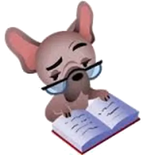 📭 cão, lendo, livro, óculos, fofo, animal, buldogue francês telegram sticker