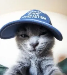 😎 PLEASE BE PATIENT I HAVE AUTISM chat, chaton, autisme, chapeau, chapeau bleu, animal de compagnie, animal telegram sticker