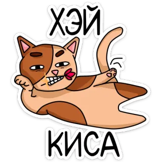 😉 ХЭЙ
КИСА кот, мультфильм, смешной, животное, питомец, ленивый whatsapp sticker