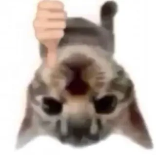 👎 cat telegram sticker