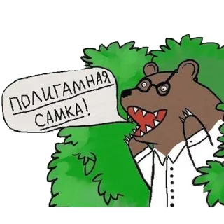 🌳 ПОЛИГАМНАЯ САМКА! bear, animal, sticker, glasses, Russian telegram sticker
