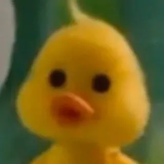 🦆 pato, fofo, animal, amarelo, pássaro, desenho animado whatsapp sticker