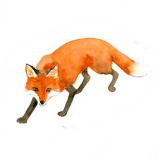 🦊 狐狸, 动物, 野生动物, 自然, 插画, 水彩 telegram sticker