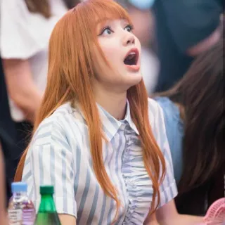 🌗 Lisa mujer, K-pop, cantante, persona, celebridad, Lisa, Blackpink telegram sticker