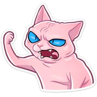 👊 Katze, Sphynx, wütend, Haustier, lustig, Meme telegram sticker
