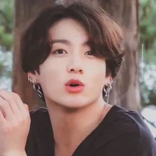 🧷 Jungkook K-pop, cantante coreano, masculino, retrato, BTS telegram sticker