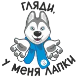 🐾 hond, sjaal, husky, dier, schattig telegram sticker