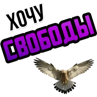 Хочу @StikeryTG telegram stickers