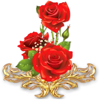 🌹 красные розы, цветочная композиция, розы, цветы, золотое украшение telegram sticker