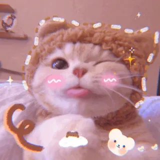 🧁 kot, zwierzę, słodki, kociak, kapelusz, zwierzak telegram sticker