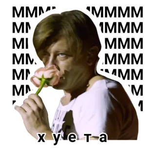 🤩 хуета telegram sticker