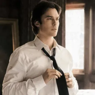 🖤 Damon Salvatore The Vampire Diaries vampir, Ian Somerhalder, acara TV, ganteng, gelap telegram sticker