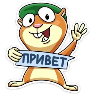 👋 ПРИВЕТ saluto, criceto, animale, cartone animato, carino, ciao telegram sticker