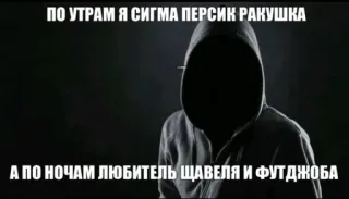 🍑 ПО УТРАМ Я СИГМА ПЕРСИК РАКУШКА
А ПО НОЧАМ ЛЮБИТЕЛЬ ШАВЕЛЯ И ФУТДЖОБА Mème, Sigma, Offensant telegram sticker