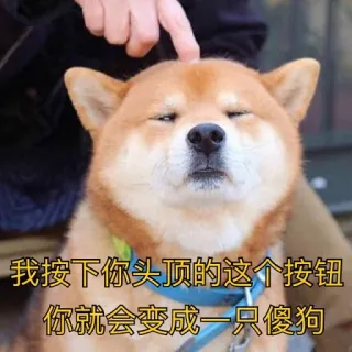 😑 我按下你头顶的这个按钮你就会变成一只傻狗狗 cachorro, shiba inu, meme, chinês, texto whatsapp sticker