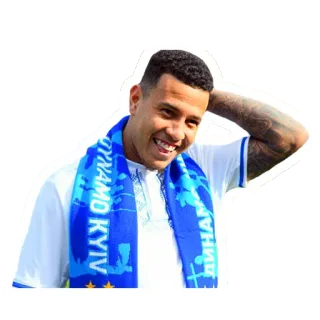 😅 DYNAMO KYIV soccer, football, Dynamo Kyiv, scarf, athlete, sports telegram sticker