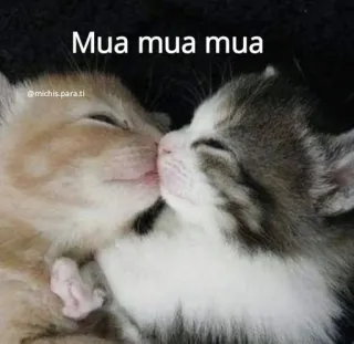 💖 Mua mua mua telegram sticker