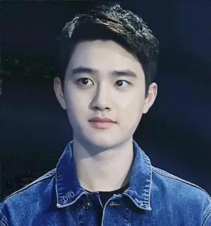 ☺️ D.O. DYO kpop, exo, korean, singer, actor, do kyungsoo telegram sticker