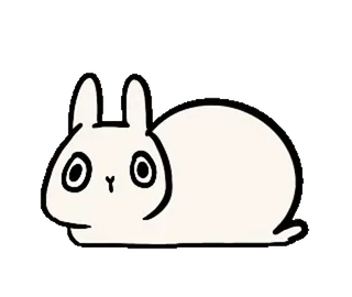 🐰 królik, zwierzę, słodki, kreskówka telegram sticker