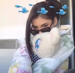 💙 woman, sunglasses, hoodie, plush toy, birds, indoors telegram sticker