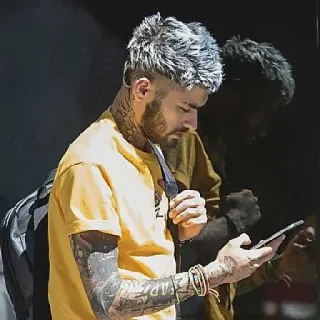 🔦 Zayn Malik zanger, beroemdheid, tattoo, man, portret, popster telegram sticker