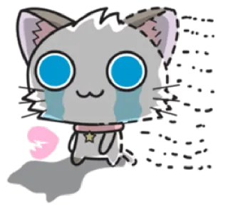 😳 gato, chorando, triste, kawaii, adesivo, animal, fofo whatsapp sticker