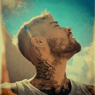 🙄 man, portrait, tattoos, neck tattoo, beard, sky, male telegram sticker
