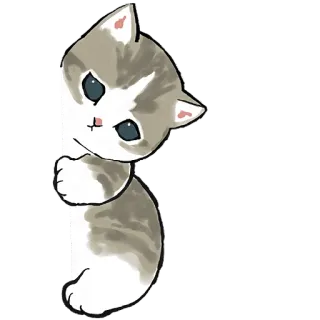 😶 猫, 小猫, 可爱, 偷看, 动物, 宠物 telegram sticker