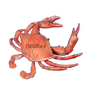 🦀 DICESU crab, sea creature, crustacean, animal, seafood telegram sticker