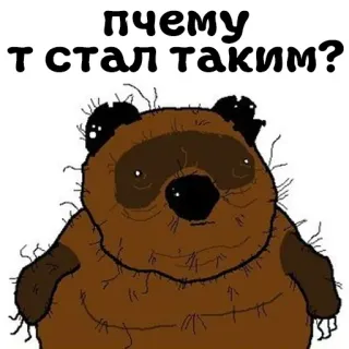 🤔 ПЧЕМУ
Т СТАЛ ТАКИМ? urso, russo, triste, meme whatsapp sticker